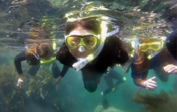 snorkeling, underwater shot